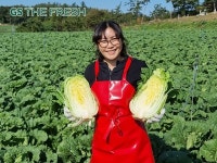 GS더프레시, 절임배추 사전예약...최대 25% 할인혜택