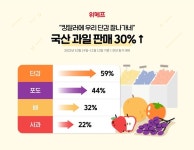 위메프, 킹달러에 시즌특가 기획전...제철과일 할인 판매