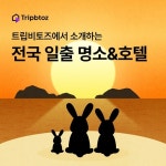 한파에 해맞이도 호텔서! 트립비토즈, 일출명소 추천