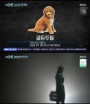 실화탐사대 수상한 애견카페, 번식업자 동일인? 병든 강아지 분양