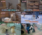 동물농장 고소 야생 카페 사장, 동물학대 혐의 구속송치