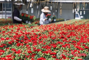 [날씨] 어버이날 전국 맑고 쌀쌀…아침 최저 4∼11도