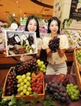 신세계百 포도의 신세계 맛보세요~