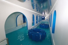 맥키스컴퍼니, 소주 선양 팝업스토어 플롭 선양 운영