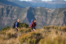 뉴질랜드, 2024 여행 트렌드...슬로 트래블부터 열정 중심