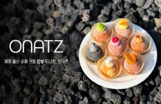 9.81파크 제주, PB 도넛 오나츠 현대百 팝업 입점