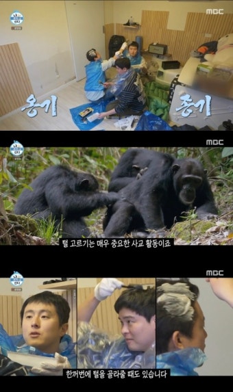 이장우X기안84X김대호 원숭이 케미 선보여(나 혼자 산다)