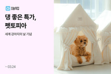 오늘의집, 세계 강아지의날 기념 댕좋은 특가, 펫토피아전
