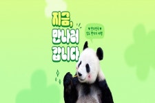 하나투어, 판다의 고향 中 성도 팬키지여행 선봬