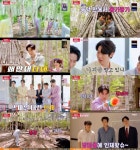 첫방 웰컴 투 장미골 손태진X신성X에녹X민수현 민박 개업기...웃음·감동 폭발