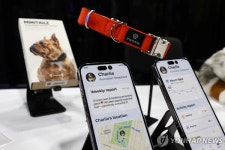 반려동물 마음까지 챙기는 펫 토털 웰니스케어 관심 증가