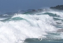 태풍 '산산' 영향 한라산 186 폭우…강풍·풍랑 주의