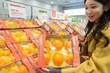 롯데마트·슈퍼, 충주서 재배 내륙 감귤 운영 확대