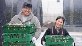 동네한바퀴 김포 한옥마을→오일장 닭강정