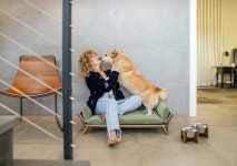 반려동물 친환경 가구 펫케아, 오프닝 기념 전시...30% 할인