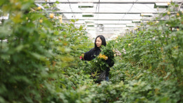 동네한바퀴 고양 부자의 웅어 전문점→25년 전통 추어탕  