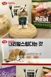 하림펫푸드, 반려견묘 함께하는 해피댄스스튜디오 투어 확대
