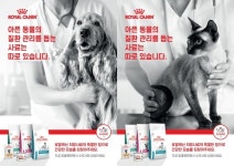 로얄캐닌, 올바른 급여문화 처방사료 캠페인 진행