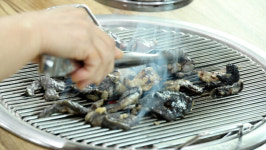 동네한바퀴 양구 오골계 숯불구이→백자박물관