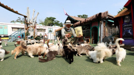 동네한바퀴 인천 임영웅 찐팬의 추어탕→모녀의 구황작물 찹쌀빵