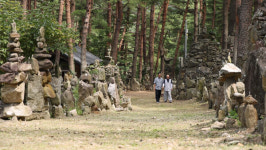 동네한바퀴 삼척 전통주 불술→산나물 한 상