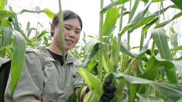 동네한바퀴 안성 90cm 철판 약초 해신탕→쥐눈이콩 청국장