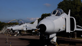 동네한바퀴 제주 크리스마스 박물관→흑돼지해물갈비전골