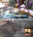 영케이, TV 동물농장 카피바라 동기화 완료…시청률 7.2% 최고의 1분