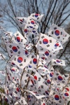 남부동-괴연동-7 | [내일날씨] 포근한 삼일절…낮 기온 7∼15도