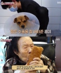 SBS 동물농장 콩이와 헤어질 결심...동시간대 1위
