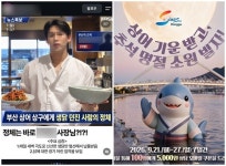 '부캉이' 인기에 기업·지자체 '상어 마케팅'...
