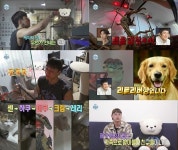 '나혼산' 차우민, 반려묘 '궁디팡팡'부터 반려뱀과 '아침 인사'