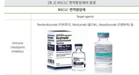 폐암 치료는 면역항암제 병용요법이 1차 치료제로 뜬다