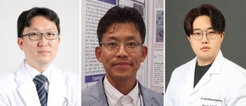 국내연구진, 나노기술 기반 외상성 뇌손상 치료물질 개발