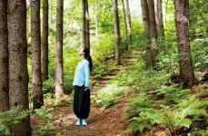 나에게 맞는 쉼, 숲에 있다 … 선마을 등 여름 숲 여행 3선