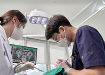 [기고문] 충치치료, 자연치아 보존을 위한 정밀ㆍ맞춤 접근이 핵심