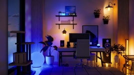 눈호강하고 다운 받자, 인조이 캔버스 금손 추천 리스트