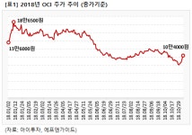 태양광株, 中 에너지부 발표에 주가 급등.. 먹구름 걷히나?