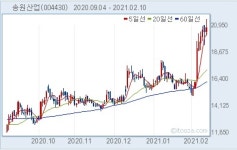 송원산업, 박순하 이사 3300주 매도