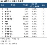 [리스트] 외국인이 매수한 MRI 우량주12