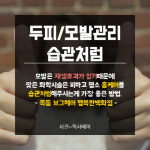 여름 휴가철두피ㆍ모발관리 꿀팁