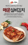 입맛 돋우는 매운 김치 매운찬 실비김치 화제의 먹방 콘텐츠 된 비결