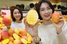 롯데마트, 호주산 애플망고 2종 판매