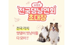 반려동물과 함께 추억을 롯데마트, 댕냥연회 영상 공모전 실시