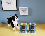 롯데백화점 분당점, 반려동물 인테리어 팝업스토어 오픈