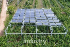 농가 소득 안정화 위한 솔루션 영농형 태양광 생산량·품질 향상 시너지