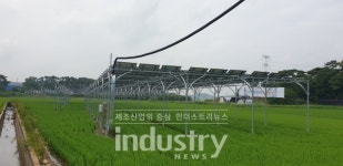 원광에스앤티, 나무 형상화한 구조물로 영농형태양광 시장 선도