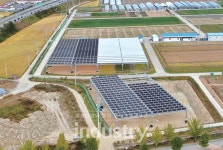 전남농기원, 400kW급 영농형 태양광 표준시스템 개발