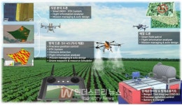 에스엠소프트, 세계 최초로 개발한 염전 수중태양광·영농형태양광 솔루션으로 지역현안 해결