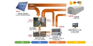 에너지硏, 태양열로 한라봉 수확…난방비 절감 기대